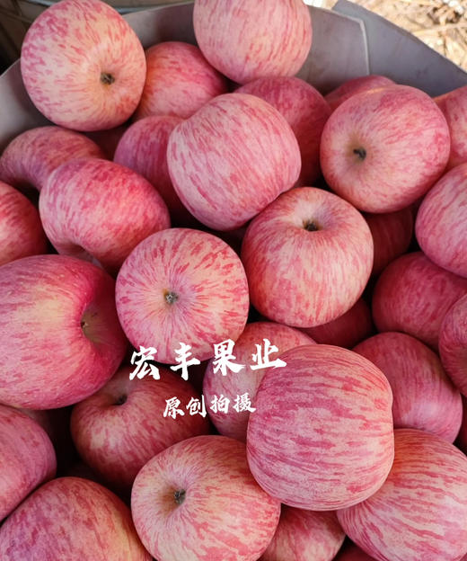 产地直发洛川苹果 条纹漂亮 口感甜脆 活动价9.8元一斤 商品图6