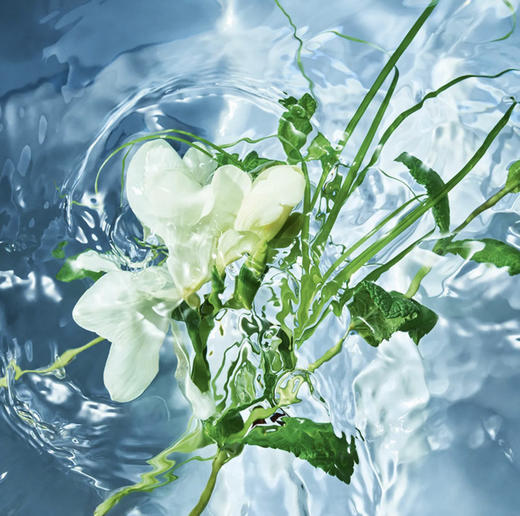 娇兰 花草水语薄荷青草香型淡香水 75ml  G014392-F 商品图3