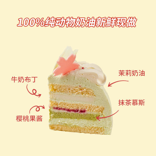 「招牌」樱吹雪--茉莉抹茶樱桃奶油蛋糕【茶韵融花香 口感轻盈】 商品图3