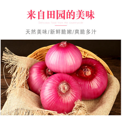 有机紫洋葱 5斤（云南） 商品图4
