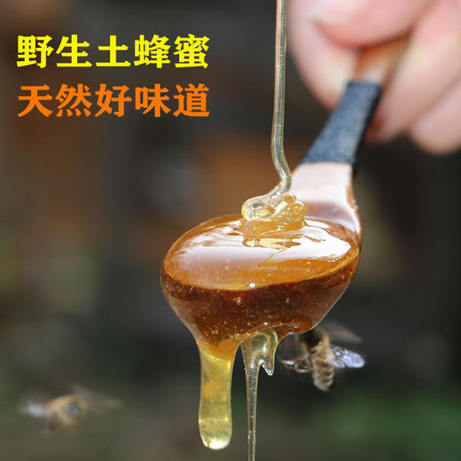 秭归县屈乡三峡农家自产成熟土蜂蜜1斤纯正无添加土蜂蜜深山瓶装蜜源 商品图1