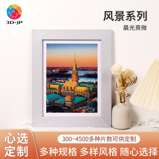 心选定制  H3204 晨光熹微 商品图0