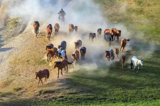 5月30日（越野车）【新疆】转场C:哈萨克牧民转场+伊犁花海+沙漠人文摄影旅游采风16天摄影团 商品图6