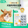 小宠艾力维A0.125g 犬猫脓皮症、泌尿道感染指定用药 商品缩略图1
