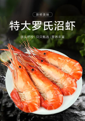 罗氏虾沼虾新鲜大虾速冻大头鲜虾巨型基围虾超大海鲜水产鲜活虾类 1公斤
