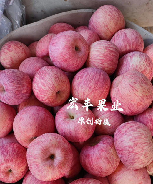 产地直发洛川苹果 条纹漂亮 口感甜脆 活动价9.8元一斤 商品图5