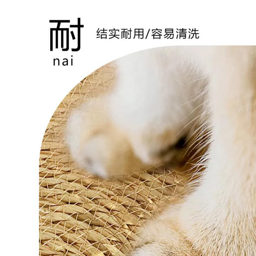 藤编猫窝狗窝四季通用猫咪睡觉垫子夏天猫抓板夏季凉窝可拆洗草编 商品图2