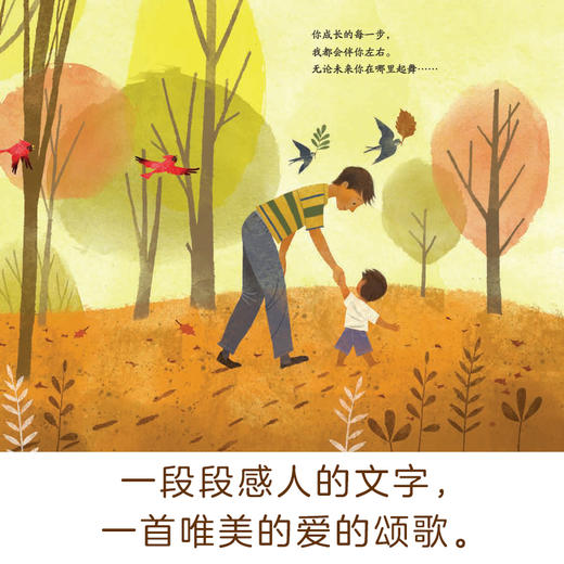 【筑桥】梦中与你相遇 I will meet you in your dreams 3-6岁精装中文绘本 商品图2