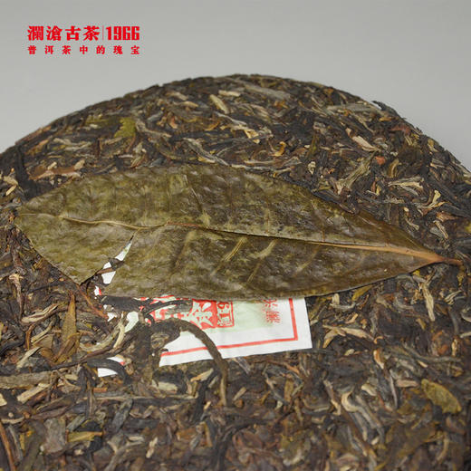 【回家之旅专享】澜沧古茶2013年荒野普洱生茶大饼357g 商品图4