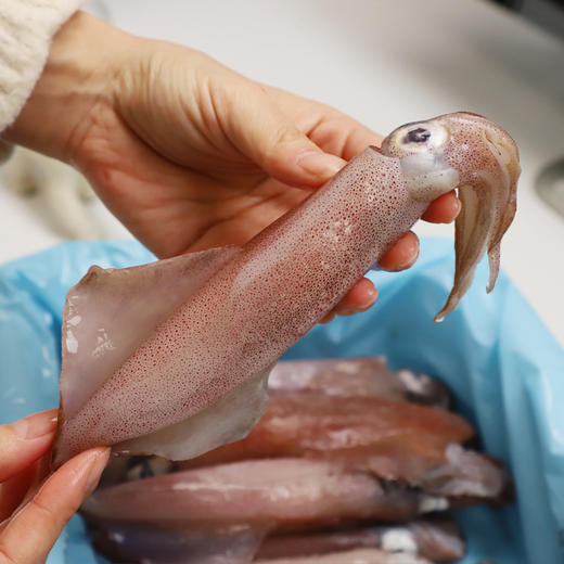 鲜生说  印尼海钓红鱿鱼 礼盒装 1.25kg/箱 商品图3