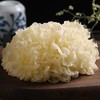 【果蔬精选】古田高山鲜银耳 被称为“平民燕窝” 现摘现发 胶朵大鲜嫩 美味清甜 胶质丰富 滋补佳品 商品缩略图3