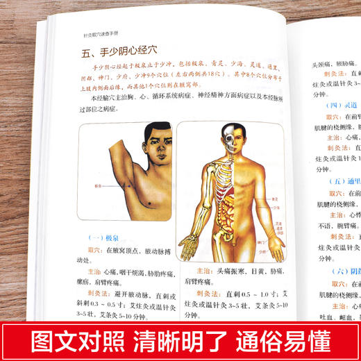 针灸取穴速查手册 商品图2