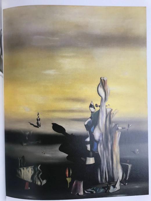 二十世纪艺术杰作图集 595幅插图（176幅彩色） 精装大16开 商品图8