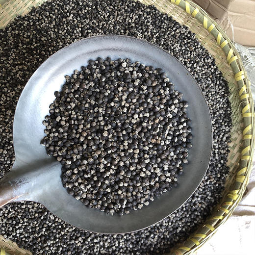 蔓荆子 商品图4