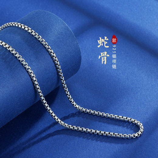 子佩集S925银【蛇骨】项链【YFXL024-28】搭配链2304 商品图1