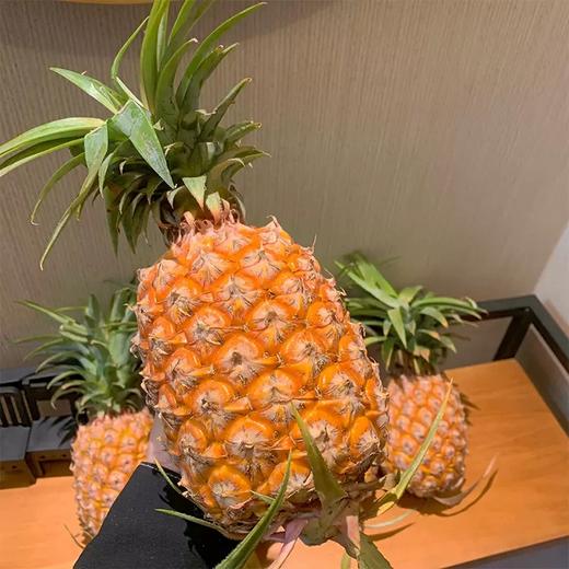 帝盟金凤梨  约1kg/个 商品图0