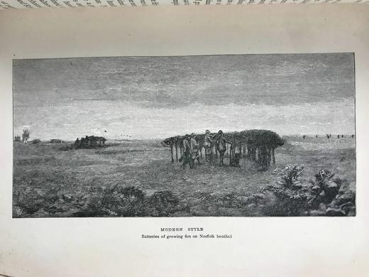 1887年 狩猎指南 约百幅版画插图 漆布精装32开 商品图5