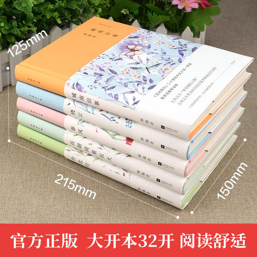 《林海音文集 全5册》城南旧事  春风 台北行 晓云 在胡同里长大 商品图1