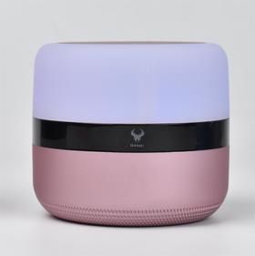 蓝牙音响无线小型音箱便携式迷你超重低音炮车载户外WXYX