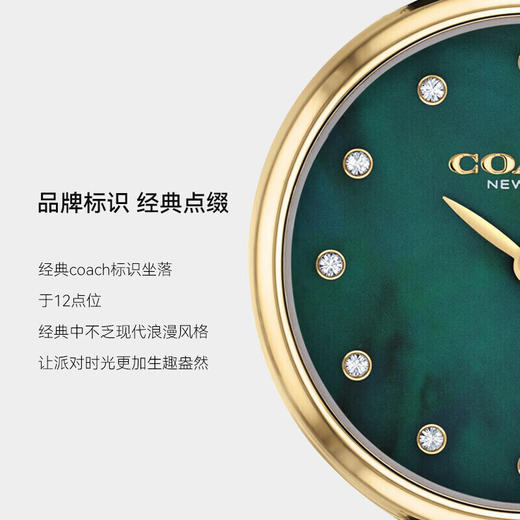 COACH蔻驰带钻小绿表 商品图6