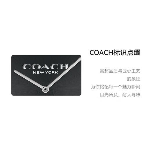 COACH蔻驰 CHARLES查尔斯系列 时尚欧美表41mm 石英防水手表情侣男表 商品图4