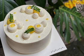 凤梨乌梅（预订）