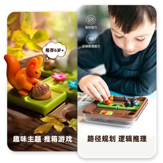 比利时 Smart Games Squirrels Go Nuts 疯狂松鼠 6+ SG 425 商品图5