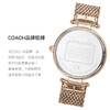 COACH蔻驰帕克水晶月亮表金 商品缩略图3
