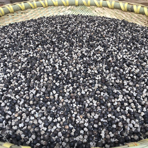 蔓荆子 商品图2