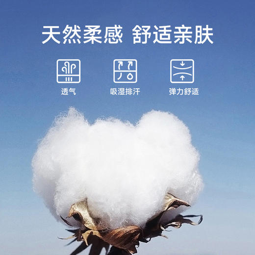 【棉质】【新款DX】大依优型大码多色夏季圆领短袖T恤加肥加大肥佬休闲宽松 商品图2