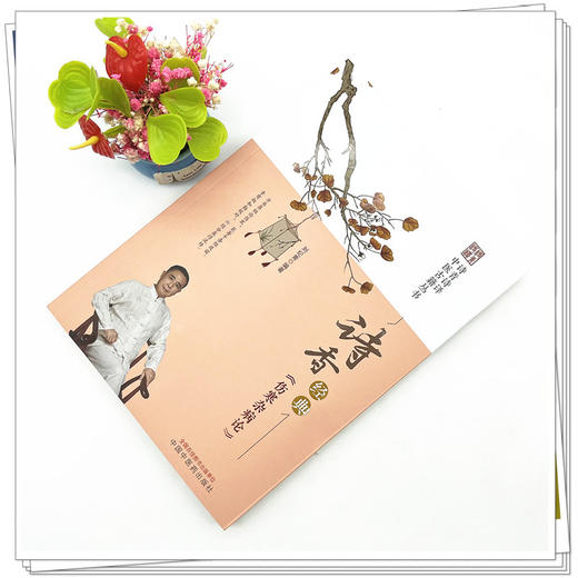 诗香经典《伤寒杂病论》刘纪青 编著 中国中医药出版社 诗青诗译中医古籍丛书 中医四大经典 书籍 商品图2