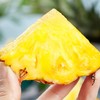 帝盟金凤梨  约1kg/个 商品缩略图4
