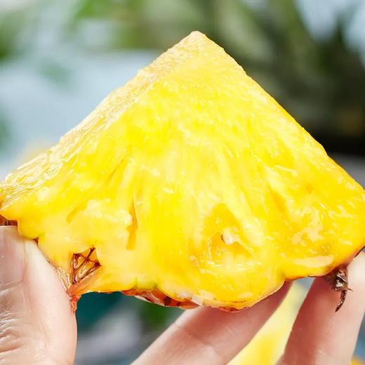 帝盟金凤梨  约1kg/个 商品图4