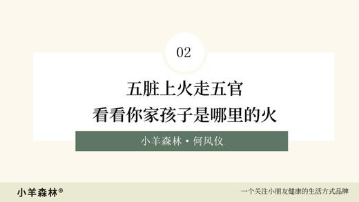 第2讲：五脏上火走五官，看看你家孩子是哪里的火 商品图0