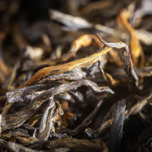 骏德  特制金骏眉 2025年春茶 桐木关正山小种红茶 50g 商品图1