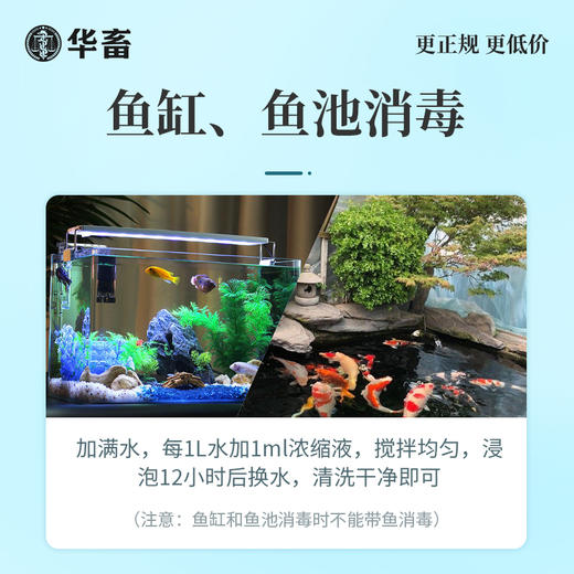 华畜高锰酸钾养鱼用消毒液鱼缸鱼塘杀菌药粉水产养殖高猛酸钾溶液 商品图3