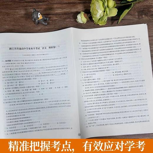 浙江省普通高中学业水平考试模拟卷 语文 商品图3