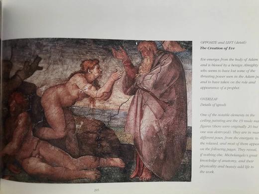 米开朗基罗 数百幅插图 精装大16开 商品图14