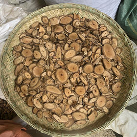 海风藤 根 片状