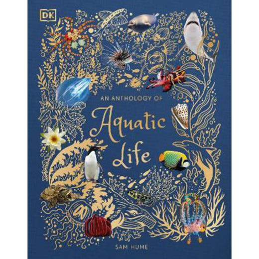 奇妙海底世界 自然科普 艺术插画绘本 英文原版 An Anthology of Aquatic Life 商品图0