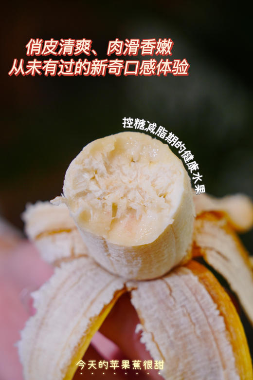 苹果蕉特价！绝代双蕉【原生态苹果蕉/红美人香蕉】小胖蕉外形短胖 表皮薄 肉滑香嫩 吃起来清新又自然！~ 商品图3