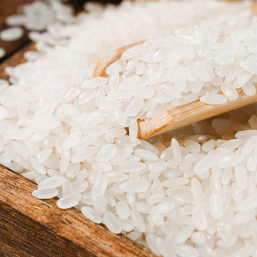 溢田 东北长粒香大米5kg【厂家直供】 商品图1