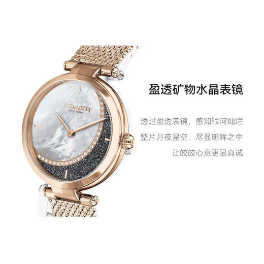 COACH蔻驰帕克水晶月亮表金 商品图2