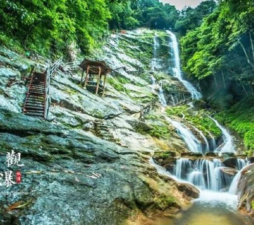 【五一短途  】石台 2 日亲子游｜森林氧吧--牯牛降・溶洞探险--蓬莱洞・山野峡谷--醉山野 ，茶园采茶，带娃趣玩皖南山水~ 商品图1