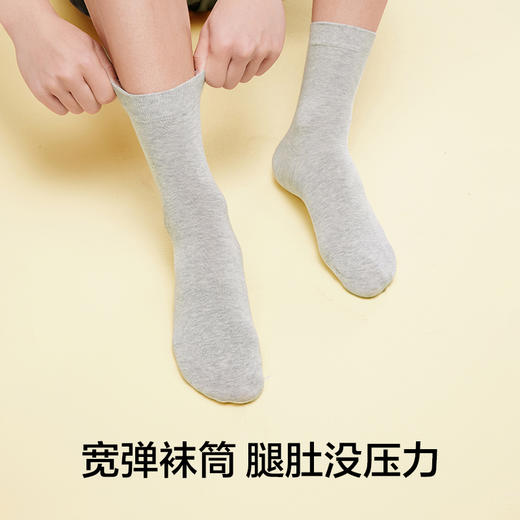 有棵树纯棉男士短袜C-Z1008 商品图4