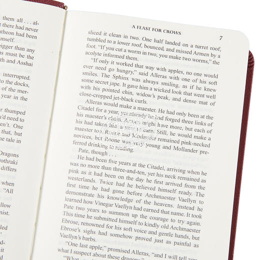 【中商原版】冰与火之歌全套全集 权利的游戏小说套装1-5 精装皮革版珍藏版 英文原版 A Song of Ice and Fire game of thrones 商品图4