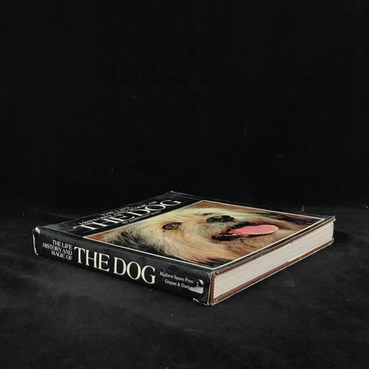 小狗的生活，历史与魔力 数百幅插图 精装16开 商品图1