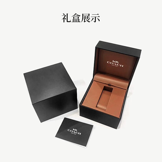 COACH蔻驰帕克水晶月亮表银 商品图6