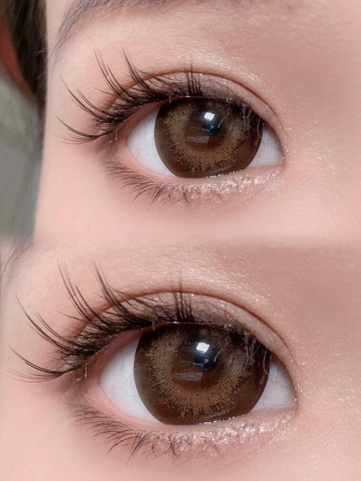 巨型萝莉·曲奇焦糖棕「含硅水凝胶」年抛型 商品图3