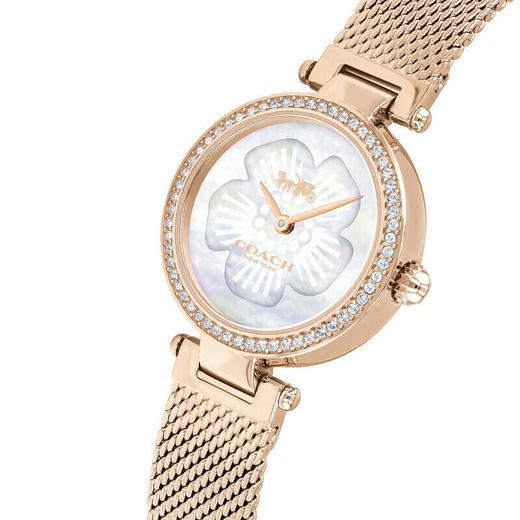 COACH蔻驰帕克编织表金 商品图3